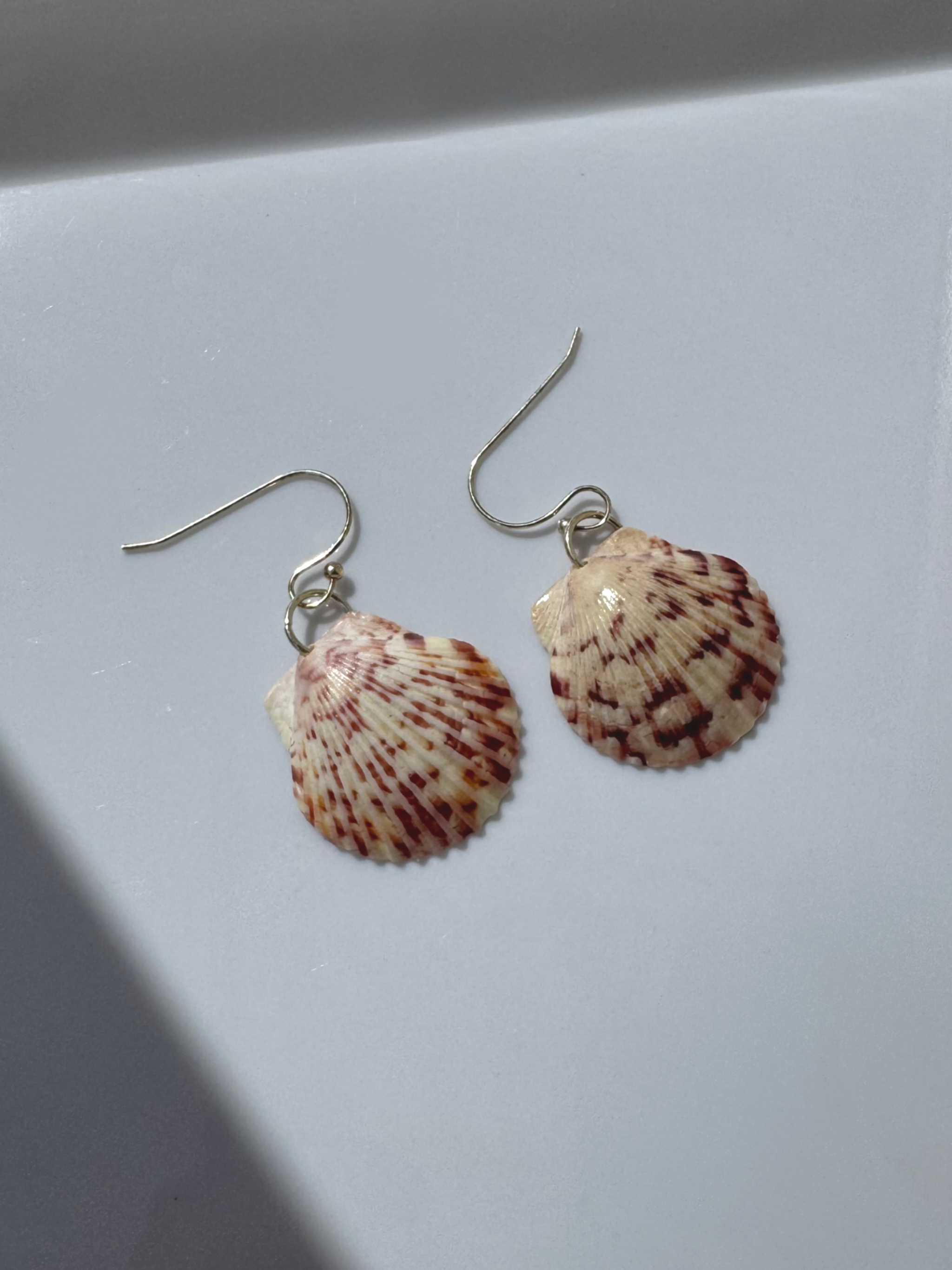 Gulf Scallop Shell Earrings