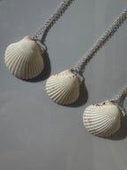 Gulf Scallop Shell Necklace