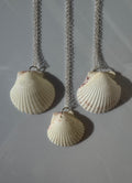 Gulf Scallop Shell Necklace