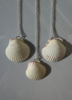 Gulf Scallop Shell Necklace