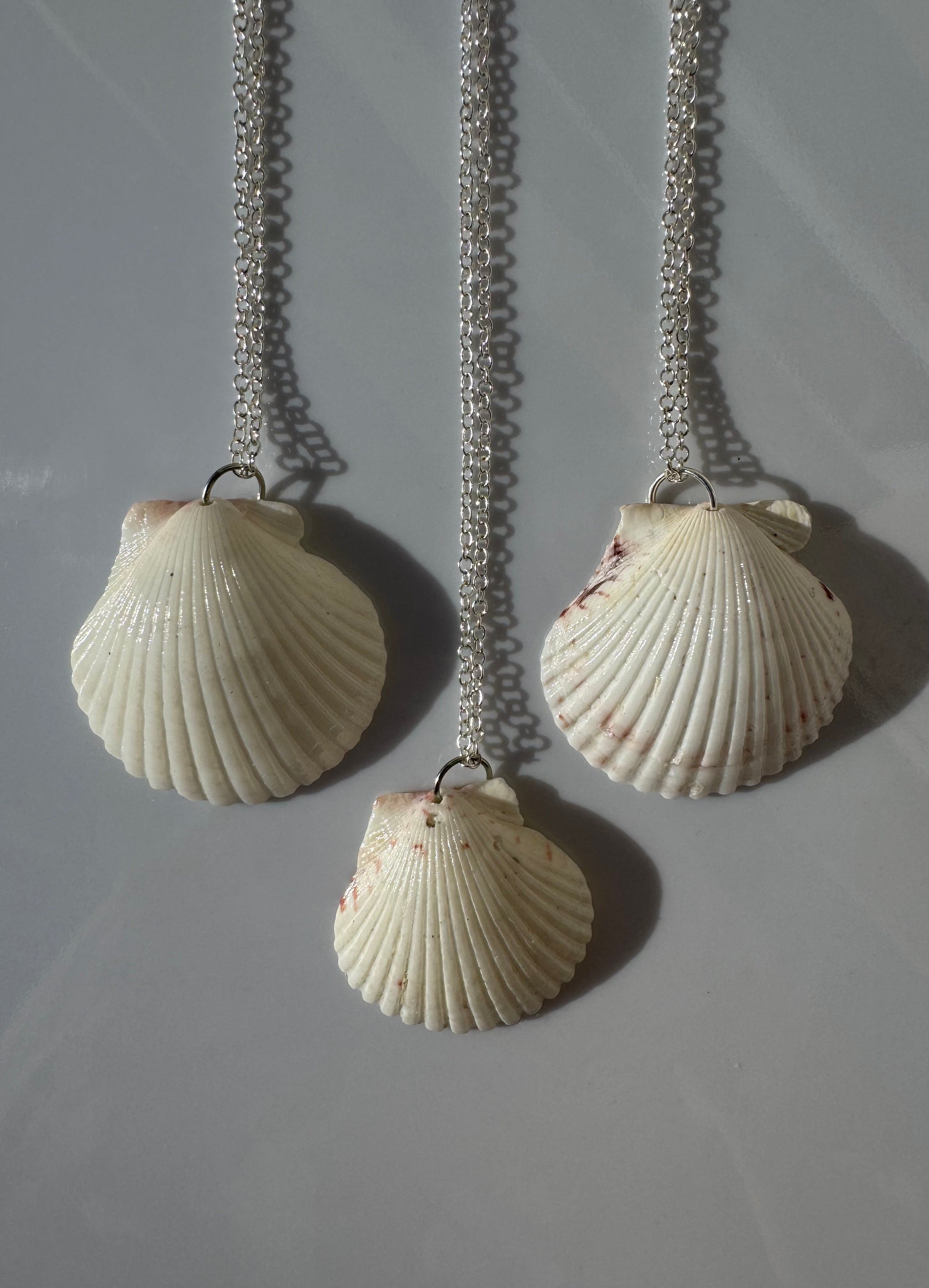Gulf Scallop Shell Necklace
