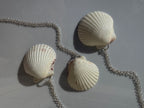 Gulf Scallop Shell Necklace