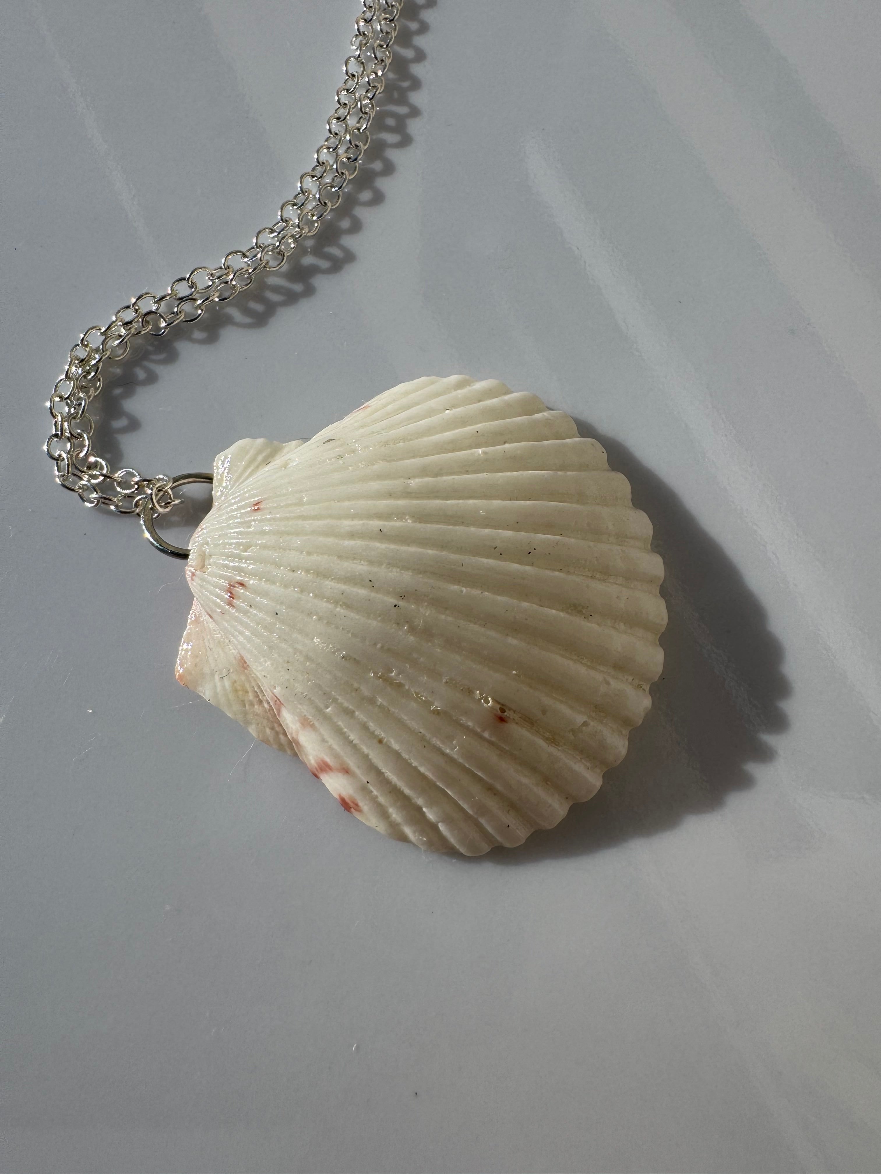Gulf Scallop Shell Necklace