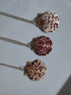 Gulf Scallop Shell Necklace