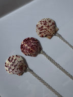 Gulf Scallop Shell Necklace