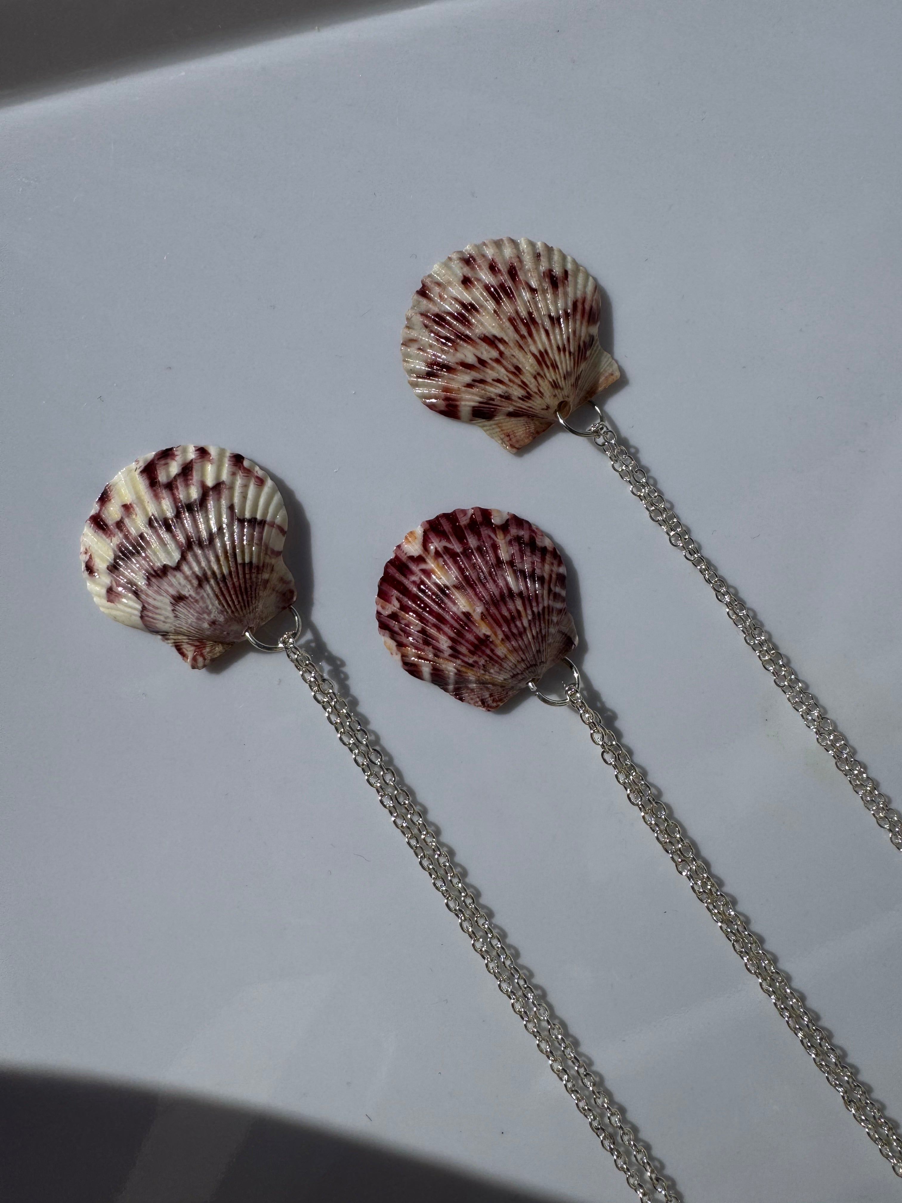 Gulf Scallop Shell Necklace