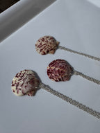 Gulf Scallop Shell Necklace