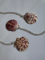 Gulf Scallop Shell Necklace