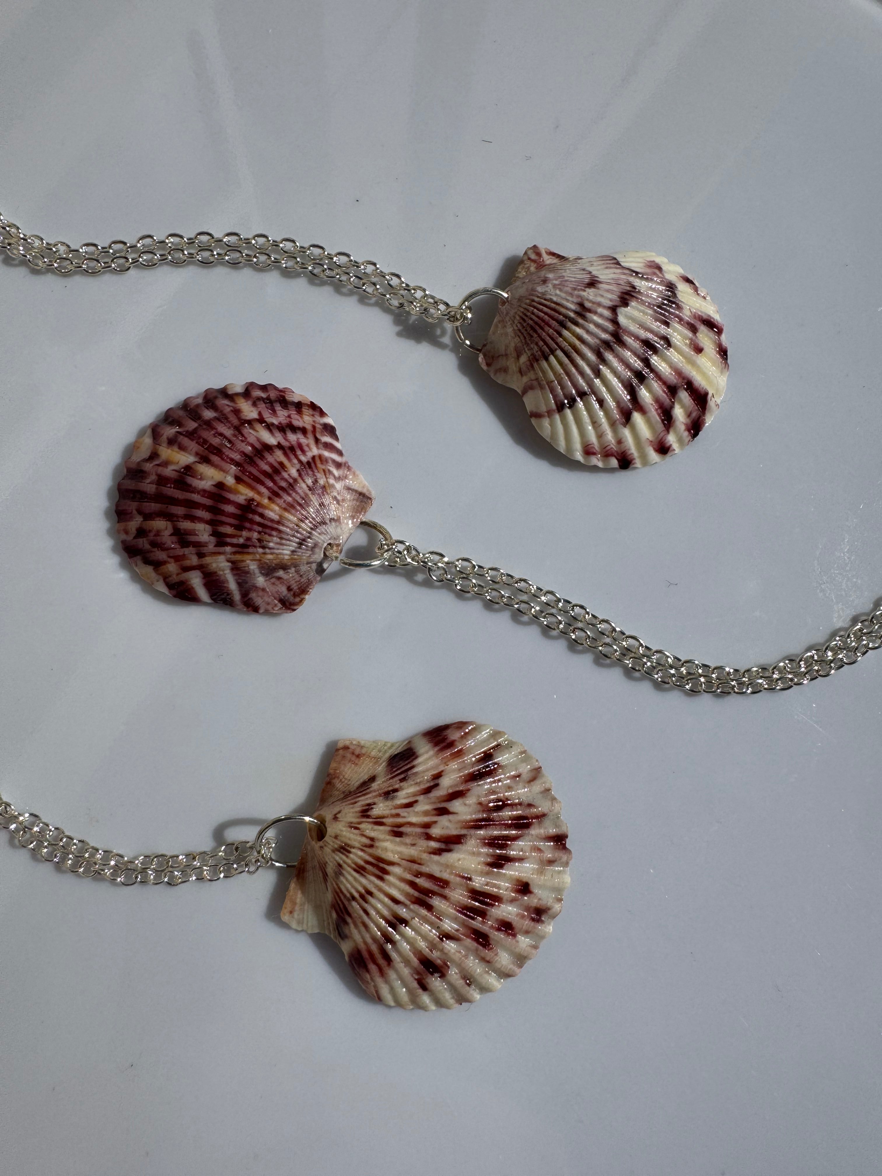 Gulf Scallop Shell Necklace