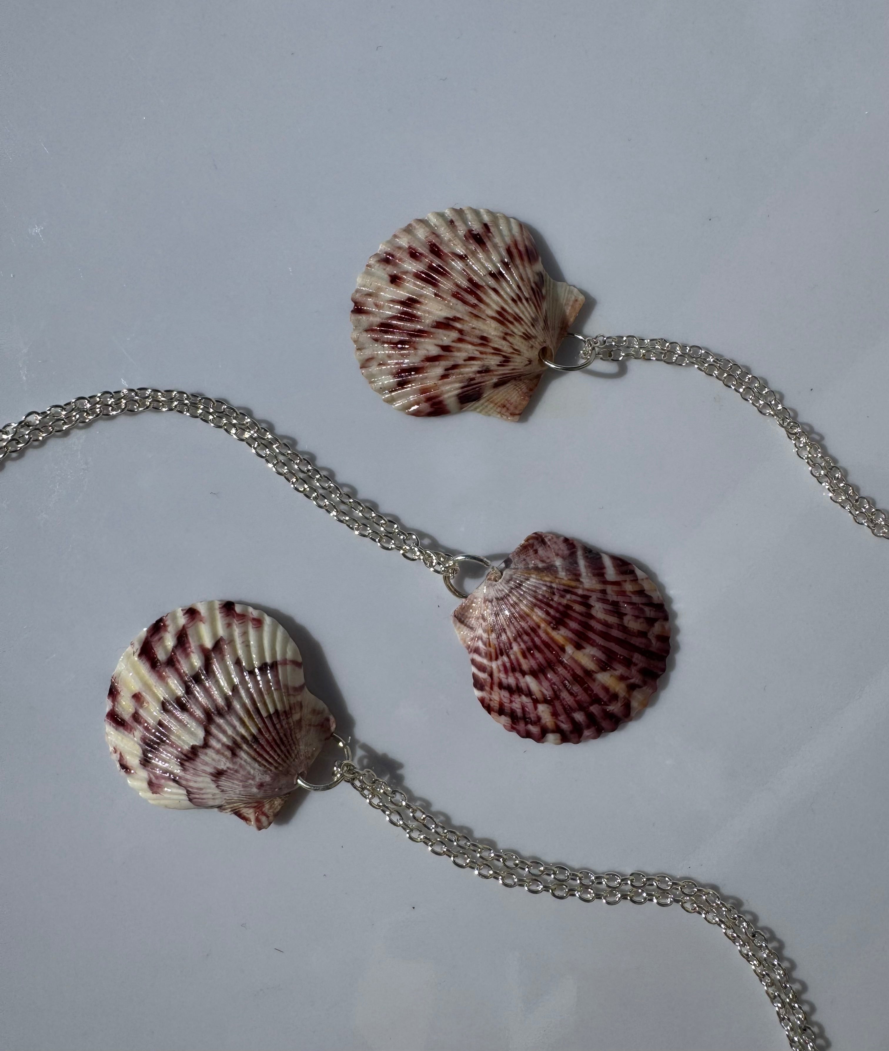 Gulf Scallop Shell Necklace