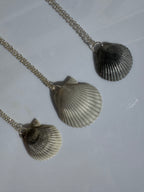 Gulf Scallop Shell Necklace