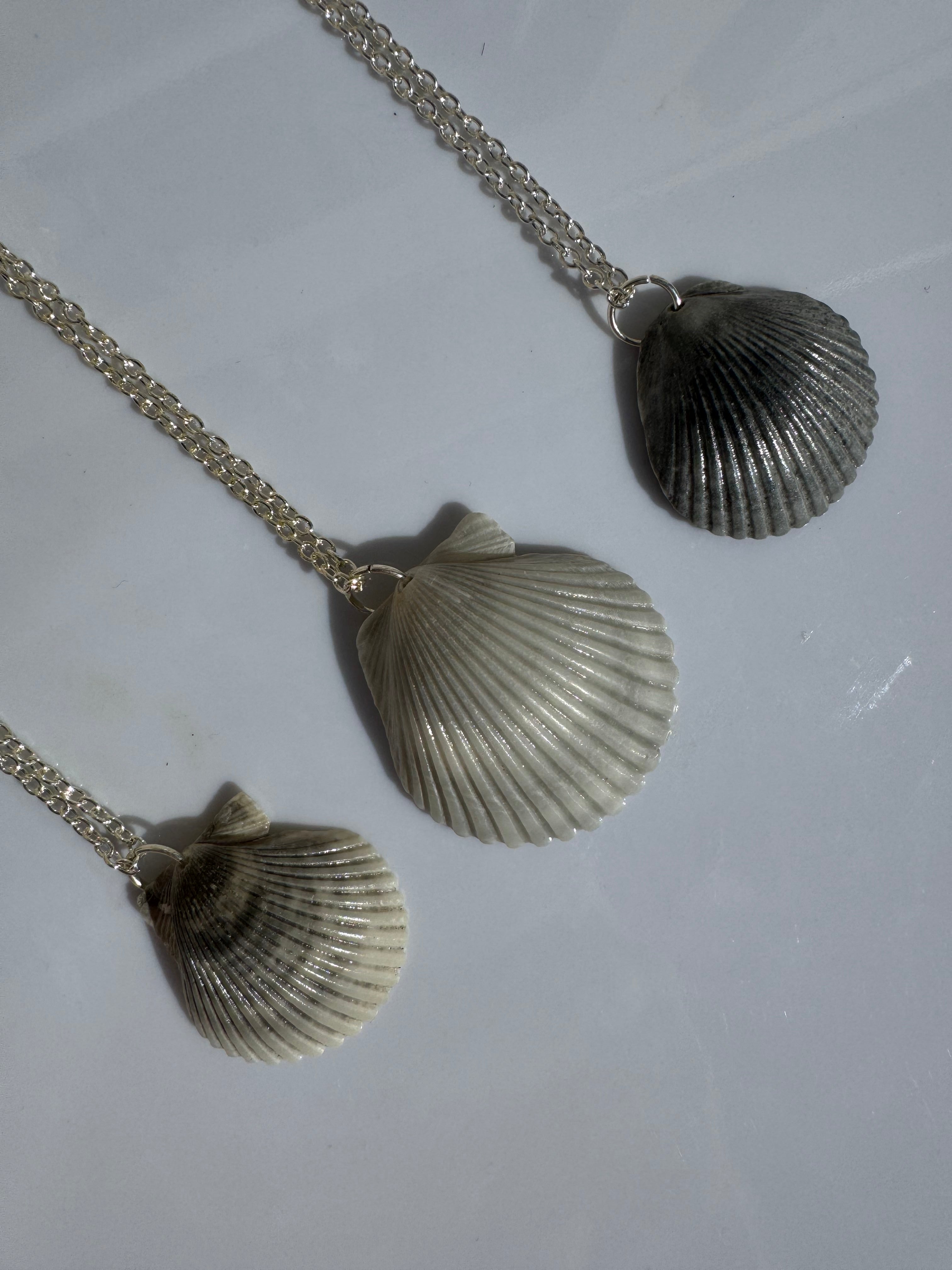 Gulf Scallop Shell Necklace