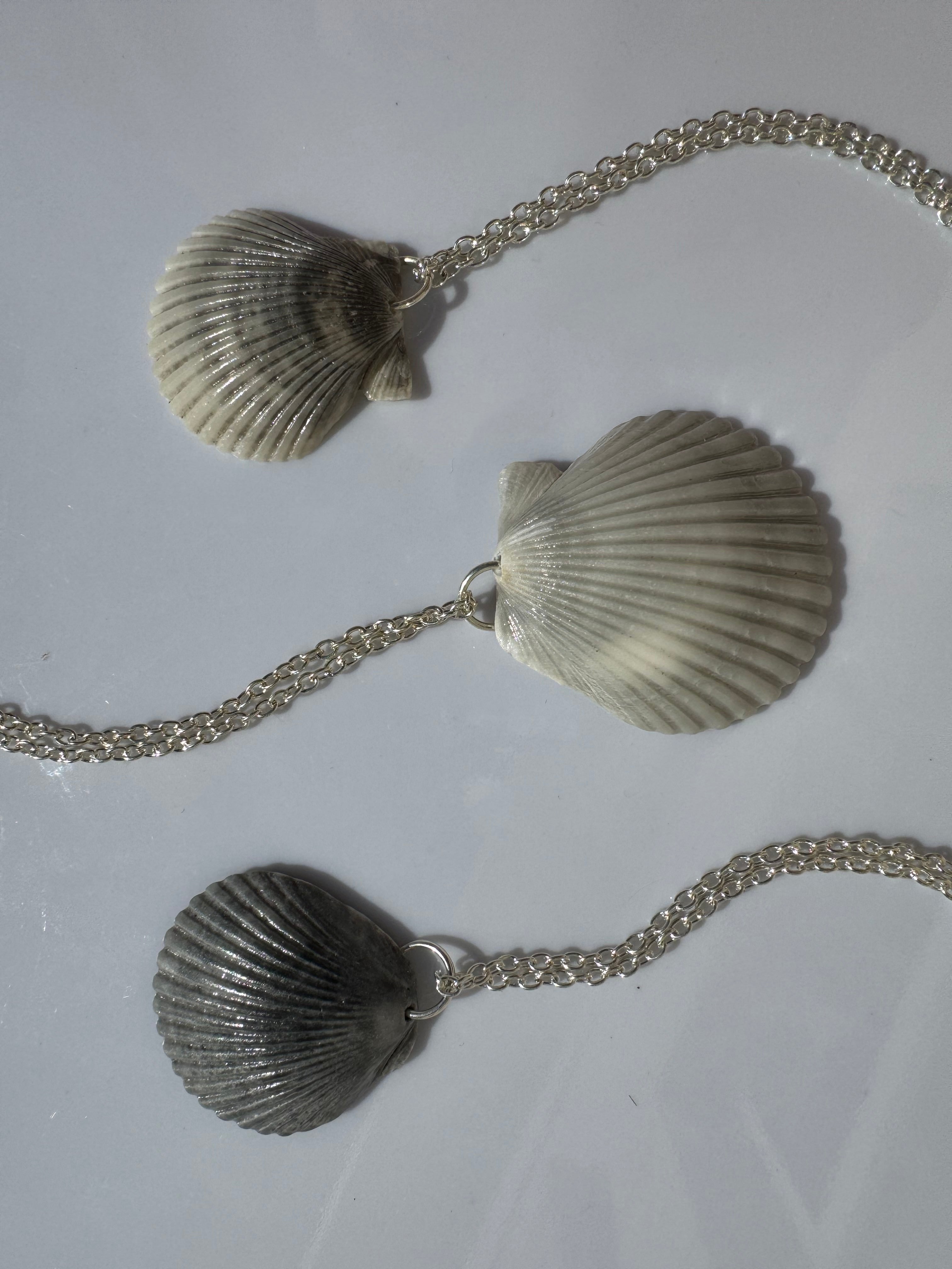 Gulf Scallop Shell Necklace