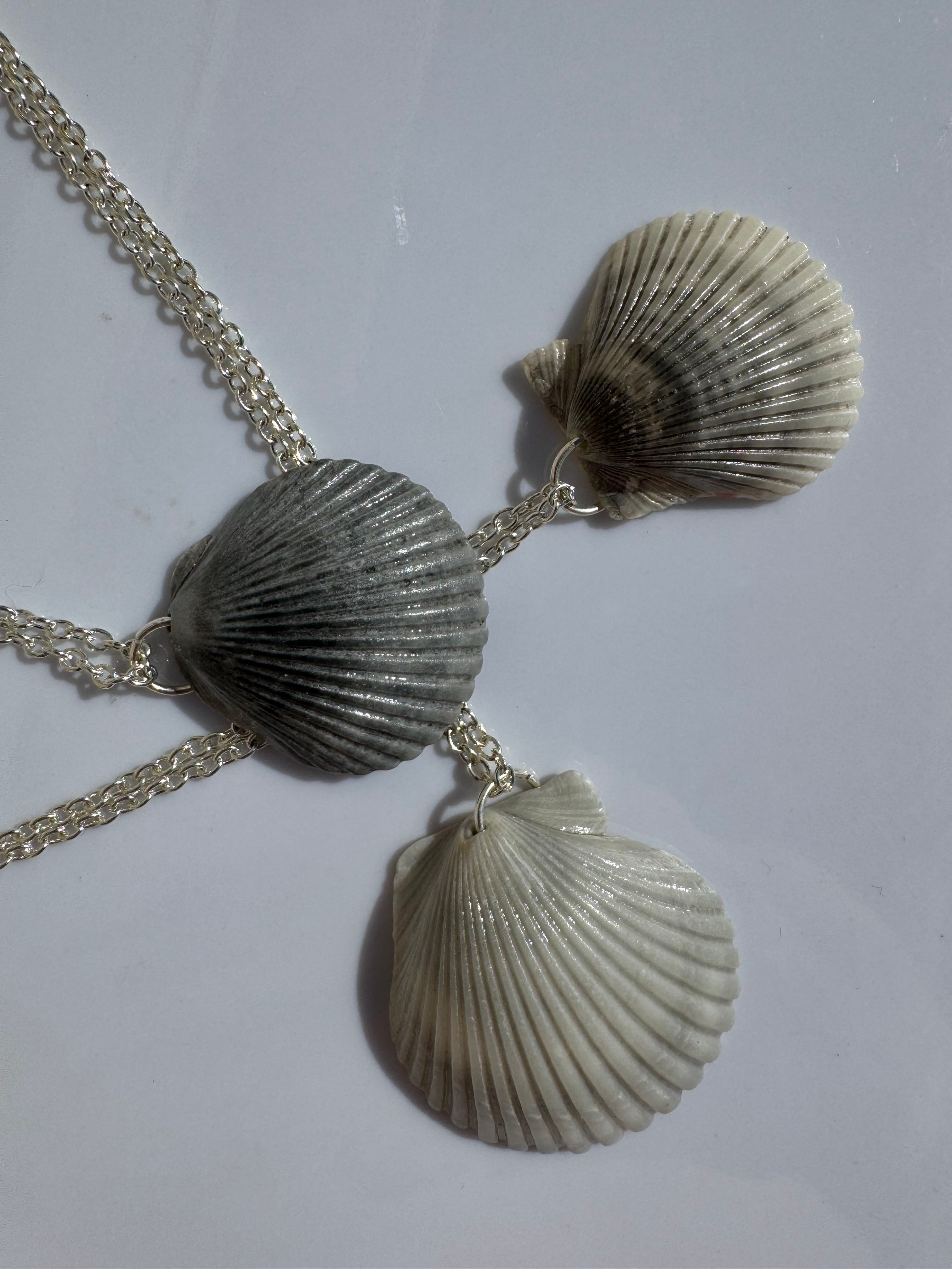 Gulf Scallop Shell Necklace