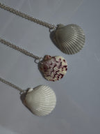 Gulf Scallop Shell Necklace