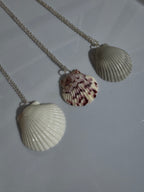 Gulf Scallop Shell Necklace