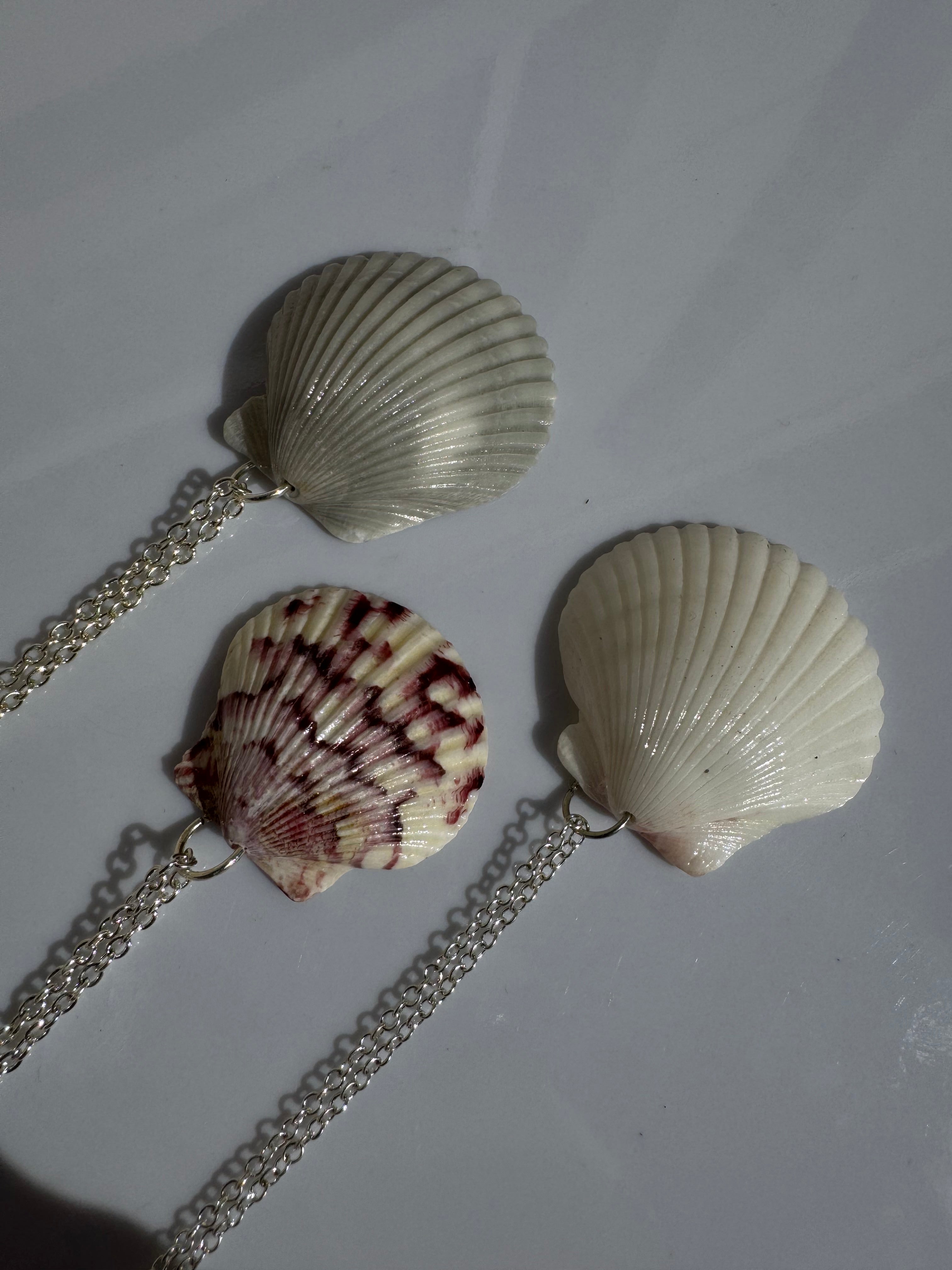 Gulf Scallop Shell Necklace