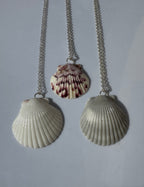 Gulf Scallop Shell Necklace