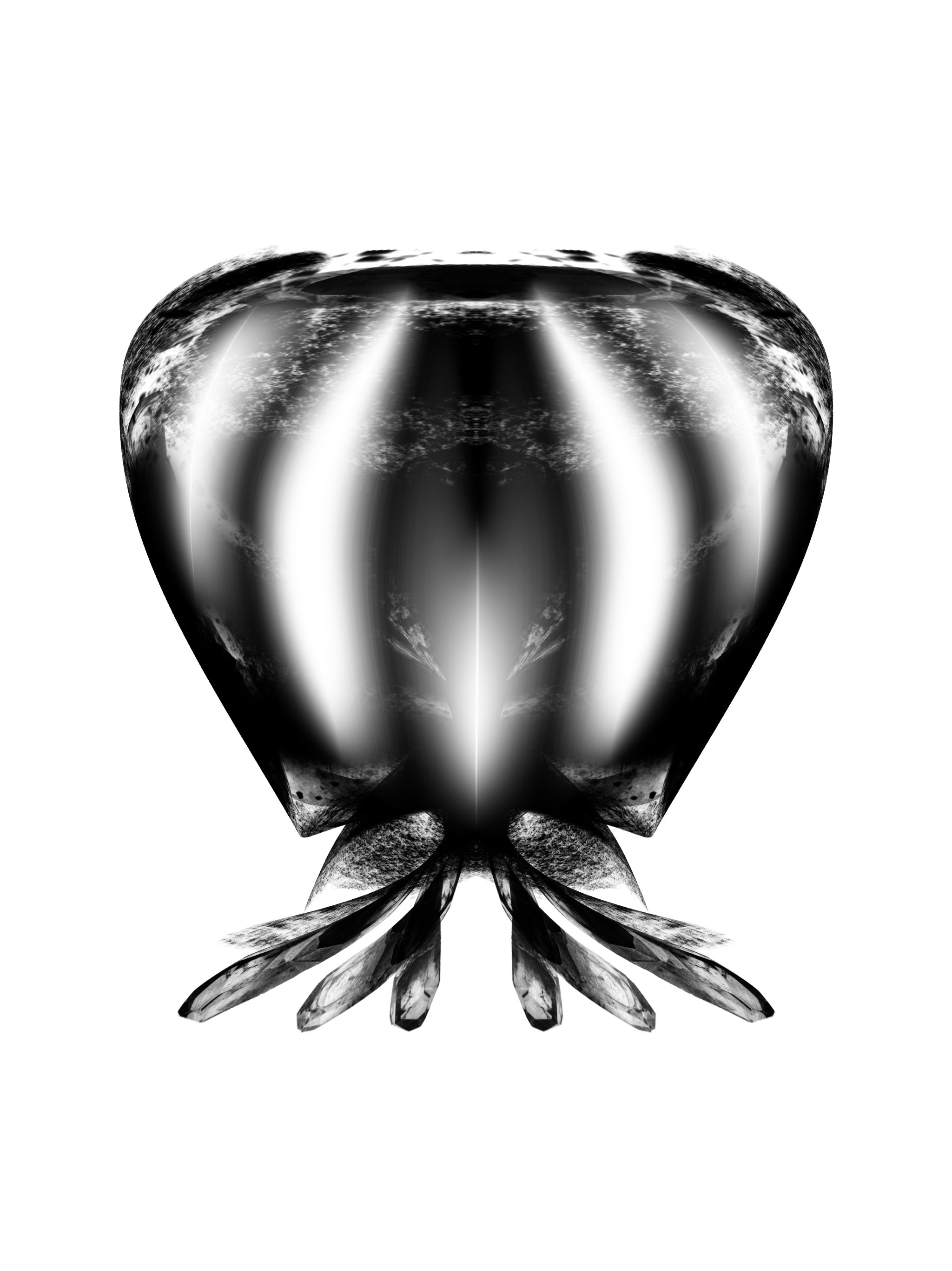 Jellyfish