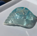 Starfish Key Dish